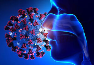 از بین رفتن حس بویایی 