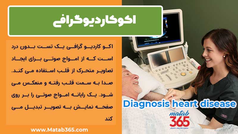 اکوکاردیوگرافی در شیراز