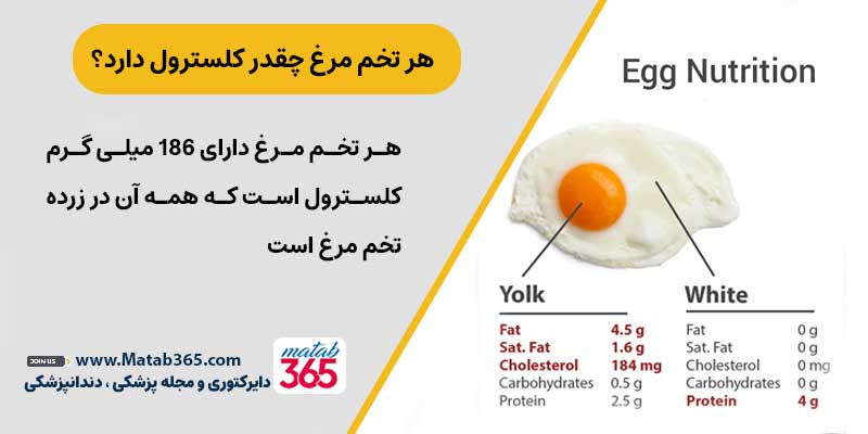میزان کلسترول تخم مرغ چقدر است