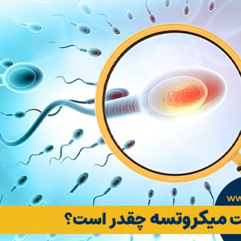 میزان موفقیت میکروتسه چقدر است؟ بر اساس آخرین تحقیقات علمی | مطب ۳۶۵