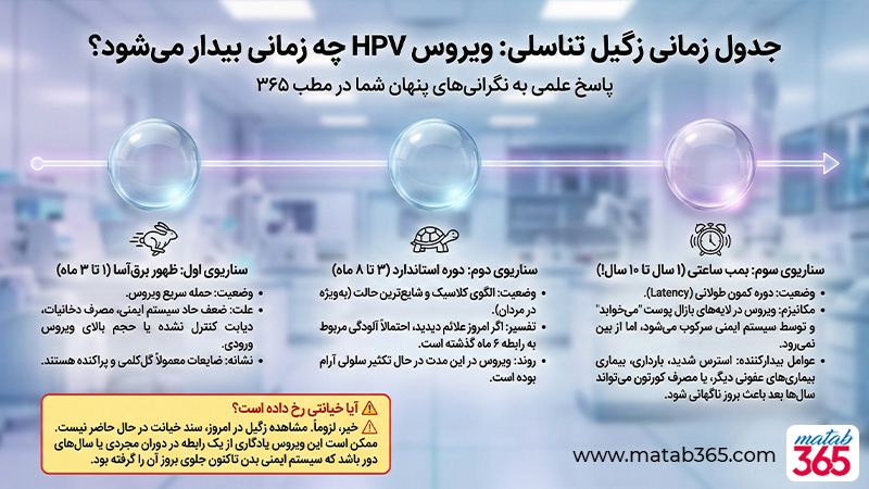 زگیل تناسلی چند وقت بعد از رابطه مشخص می‌شود؟ (سناریوهای مختلف) | مطب ۳۶۵
