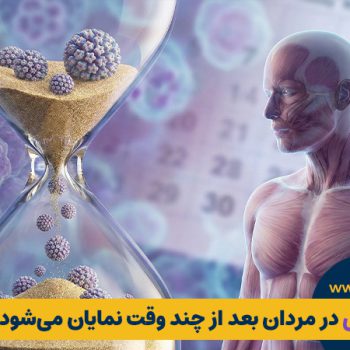 زگیل تناسلی در مردان بعد از چند وقت نمایان می‌شود؟ (جدول زمانی واقعی) | مطب ۳۶۵